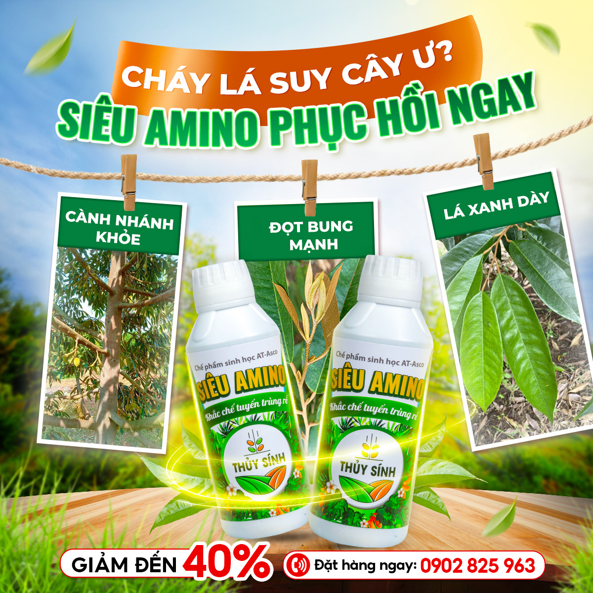 Lĩnh vực nông nghiệp